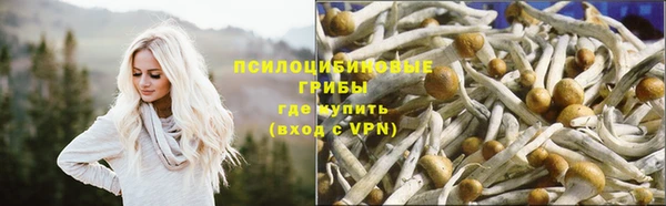 сатива Алзамай
