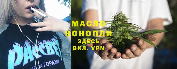 мет Алексин