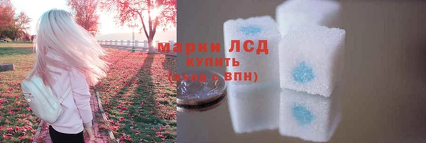 сатива Алзамай