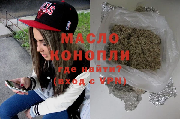 мет Алексин