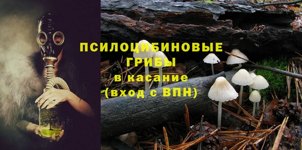 сатива Алзамай