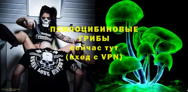 спиды Алексеевка